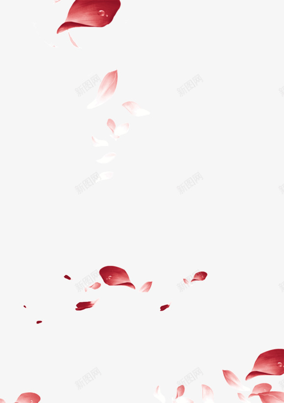 漂浮的花瓣透明背景png免抠素材_新图网 https://ixintu.com png素材 洒落花瓣 漂浮的花瓣 透明背景