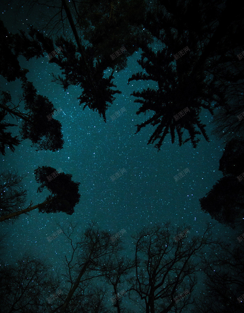 梦幻星空树背景png免抠素材_新图网 https://ixintu.com 幻树 星空 梦幻 背景 虚幻