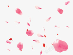 玫瑰瓣布景漂浮粉色玫瑰花瓣高清图片