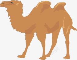棕色的骆驼素材