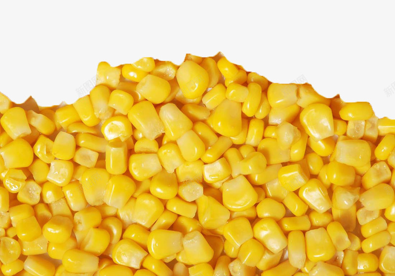 新鲜玉米png免抠素材_新图网 https://ixintu.com 新鲜玉米 玉米 玉米棒 玉米粒 粮食 金黄色 食材原料