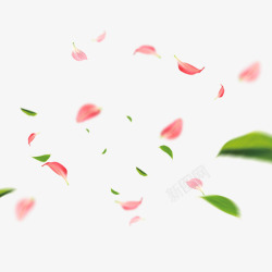 绿叶桃花粉色桃花花瓣元素高清图片
