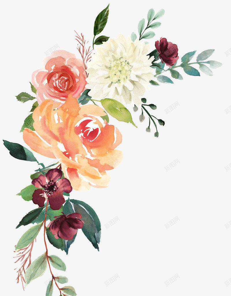 彩色花卉植物png免抠素材_新图网 https://ixintu.com png图形 png装饰 手绘 植物 绿叶 花朵 装饰
