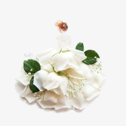 白色玫瑰花瓣素材