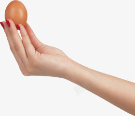 手拿鸡蛋png免抠素材_新图网 https://ixintu.com 免费下载 其他 手拿鸡蛋图片 源文件 胶原蛋白 蛋 食品 鸡蛋
