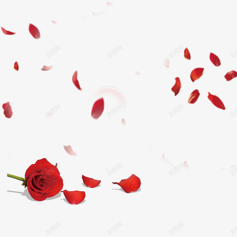 红色现代海报装饰png免抠素材_新图网 https://ixintu.com 38 女人节 妇女节 爱心 玫瑰 现代 红色 艺术 花瓣 魅力