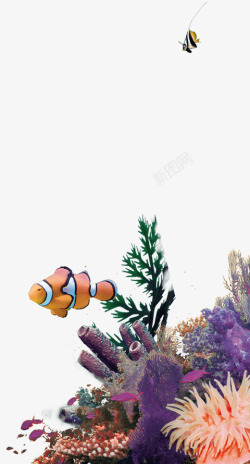 海底景色鱼装饰背景素材
