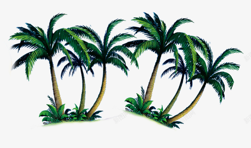 两组椰子树png免抠素材_新图网 https://ixintu.com 夏天 椰子树 沙滩 海南 海边