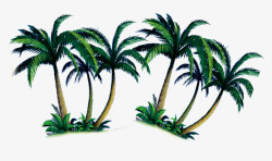 两组椰子树素材