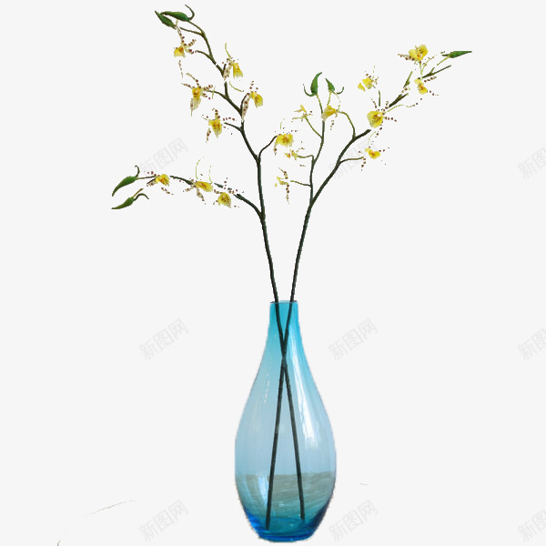 花瓶png免抠素材_新图网 https://ixintu.com 实物 玻璃 花瓶
