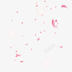 花漂浮漂浮樱花花瓣装饰高清图片
