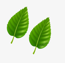 扁平化小树叶矢量图素材