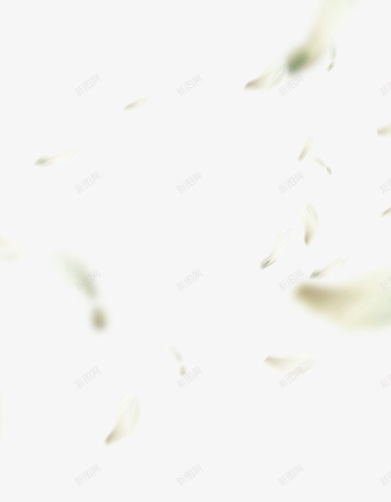 创意合成白色的花瓣效果png免抠素材_新图网 https://ixintu.com 创意 合成 效果 白色 花瓣