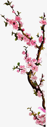 一枝梅花png免抠素材_新图网 https://ixintu.com png素材 一枝梅花