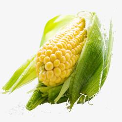 穗穗黄色新鲜玉米果蔬高清图片