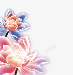 粉色荷花设计中秋节荷花元素高清图片