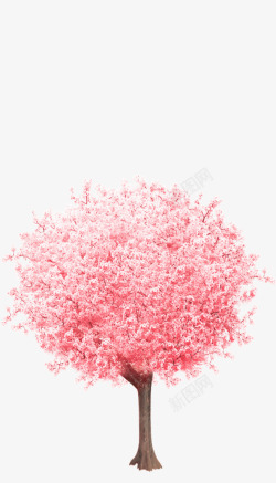 红色车模型樱花树樱花树高清图片