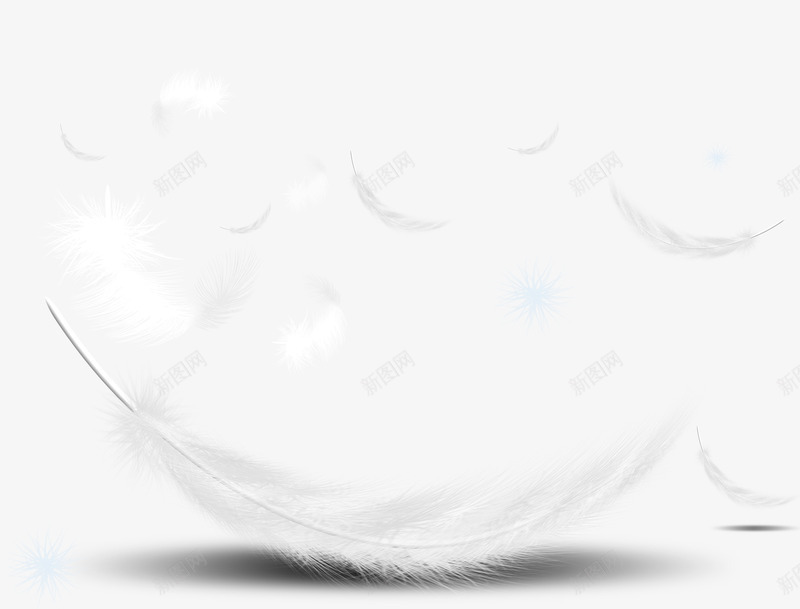 纯洁羽毛装饰png免抠素材_新图网 https://ixintu.com 纯洁 羽毛 装饰 飘逸的羽毛