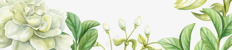 绿色手绘花朵边框png免抠素材_新图网 https://ixintu.com 初夏促销海报背景 夏上新 夏天 夏季 夏日 手绘花朵 手绘边框 绿色 花朵边框