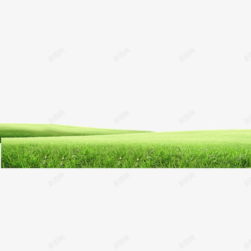 绿色草坪png免抠素材_新图网 https://ixintu.com 简单草坪 绿色草坪 草坪 青色草坪素材