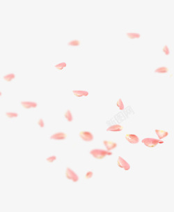 桃花心形飘落桃花花瓣节日鲜花飘落装饰粉红高清图片