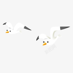 观察动物白色创意海鸥元素高清图片
