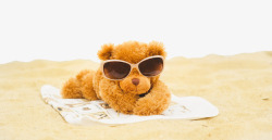 旅行娃娃棕色沙滩泰迪熊高清图片