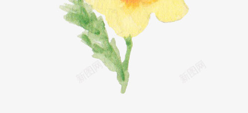 手绘黄色玫瑰花png免抠素材_新图网 https://ixintu.com 创意图 卡通 可爱 彩色图 手绘图 玫瑰 简单 背景 黄色