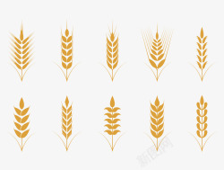 自然生长的植物简约扁平金色麦穗图案高清图片