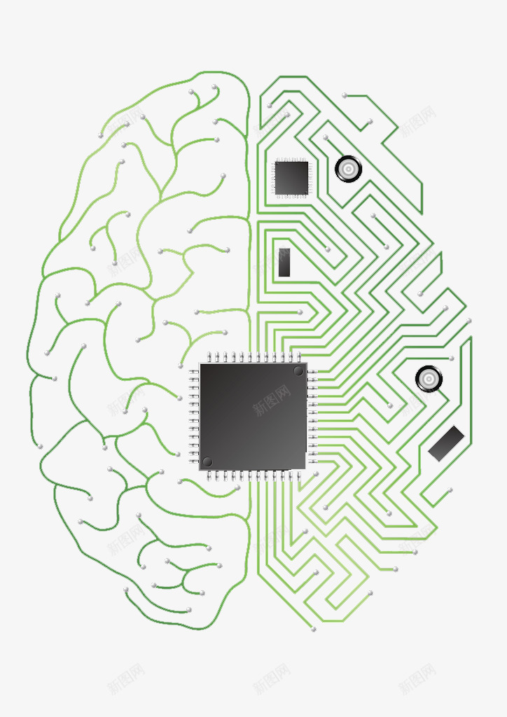 大脑芯片png免抠素材_新图网 https://ixintu.com 人体经脉 人体结构 动物血管 叶脉 心血管系统 生物医学插图 脉管束