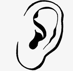 人体耳朵人的左耳高清图片