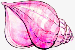 水粉画艺术粉色海螺壳高清图片