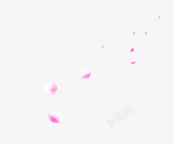 白粉色花瓣装修页面素材