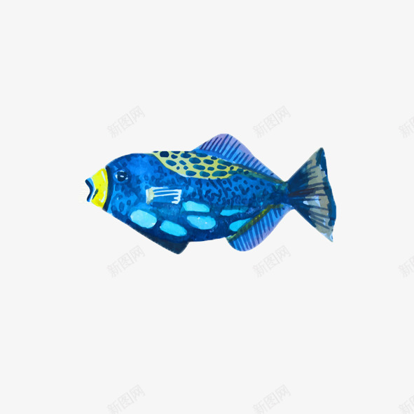 蓝色水彩手绘海洋生物鱼类图案png免抠素材_新图网 https://ixintu.com 手绘 水彩 海洋馆 蓝色 鱼类
