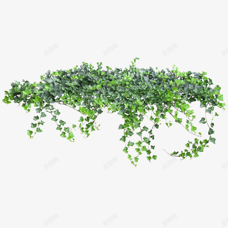 绿色植物png免抠素材_新图网 https://ixintu.com 园林 树木 绿化装饰 绿色植物 花丛 花草