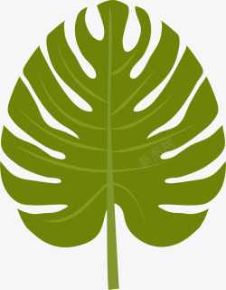 卡通绿色植物棕榈叶图素材