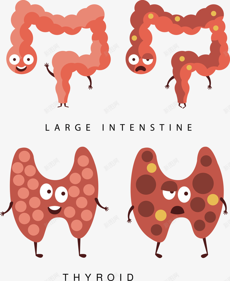 人体肠道矢量图eps免抠素材_新图网 https://ixintu.com 人体器官 人体肠道 矢量肠道 肠道 肠道PNG 矢量图