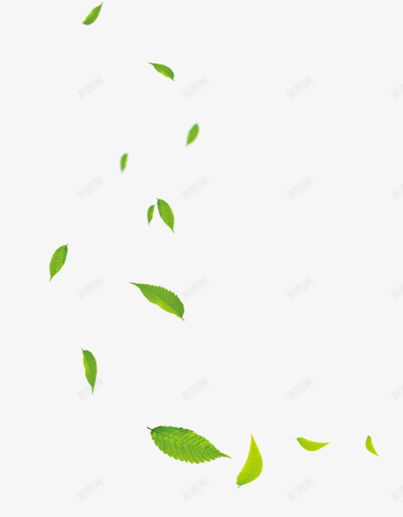 几片漂浮的绿色叶子png免抠素材_新图网 https://ixintu.com 叶子 春上新 漂浮 电商上新 绿色的