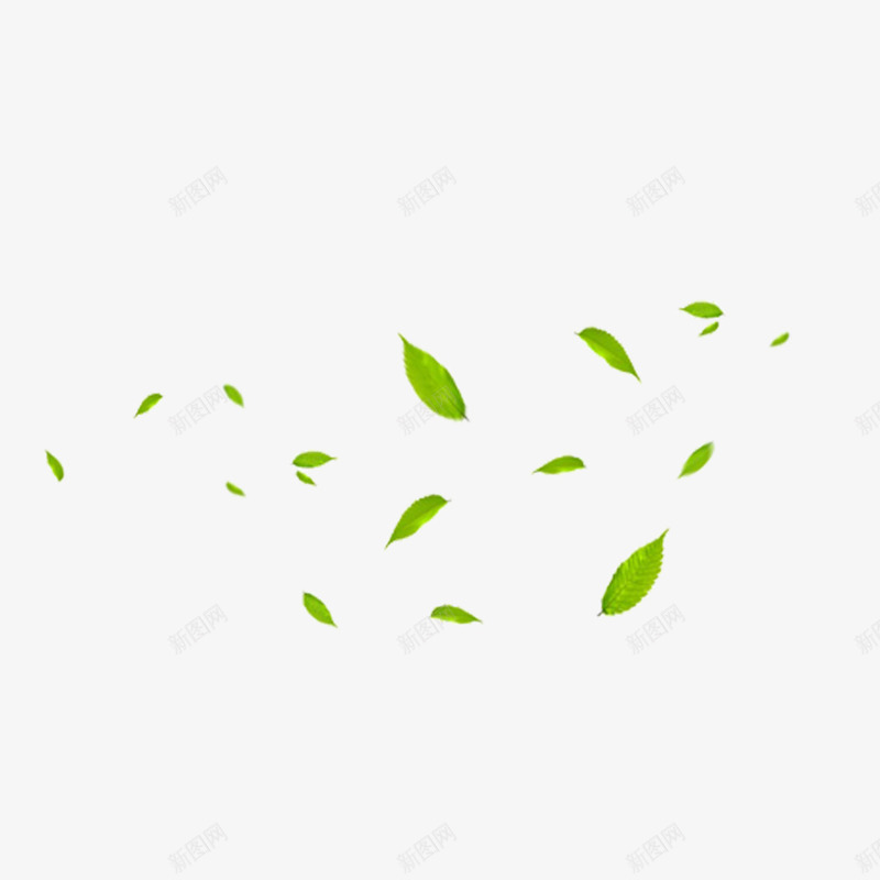 漂浮的树叶叶子png免抠素材_新图网 https://ixintu.com PNG 树叶 植物 绿色的