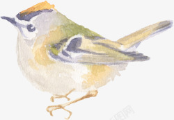 水墨画小鸟卡通画可爱的小鸟手绘图高清图片