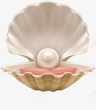 贝壳里的白珍珠png免抠素材_新图网 https://ixintu.com 一颗大珍珠 珍珠 贝壳 贝壳文 贝壳纹