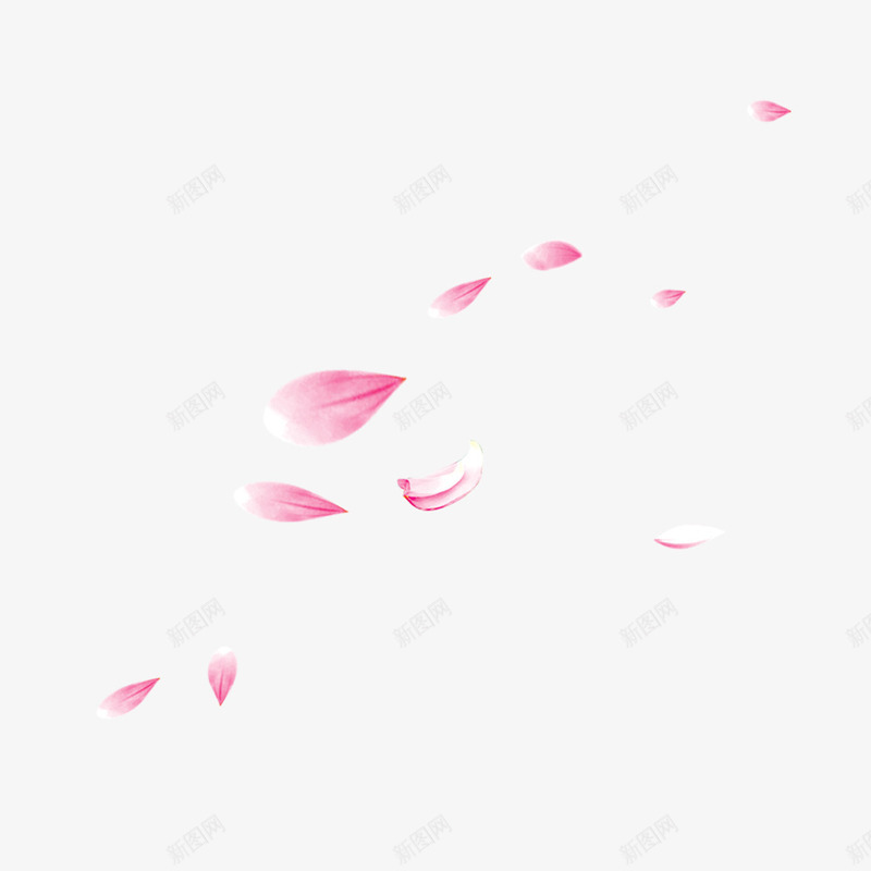 粉色花瓣漂浮图案png免抠素材_新图网 https://ixintu.com 一朵朵 植物 洒落花瓣 粉色 绿色 花瓣 花飘落 荷花