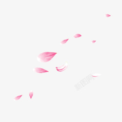 粉色花绿色叶粉色花瓣漂浮图案高清图片