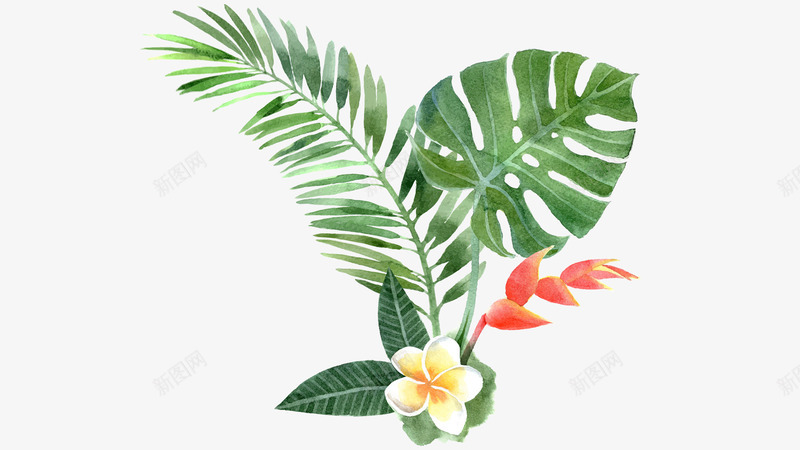 花朵树叶植物图片png免抠素材_新图网 https://ixintu.com 图片 树叶 植物 素材 花朵