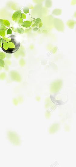 浅绿色泛光绿叶png绿色朦胧树叶背景高清图片