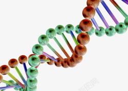 生物基因链素材