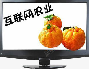 装饰图案图标png_新图网 https://ixintu.com 互联网农业 橘子 水果 电子商务 电脑