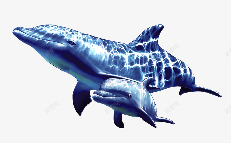 海底世界png免抠素材_新图网 https://ixintu.com 海底 海底世界 海鱼 蓝鲸 鱼 鲸 鲸鱼