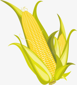 玉米与爆米花矢量图素材