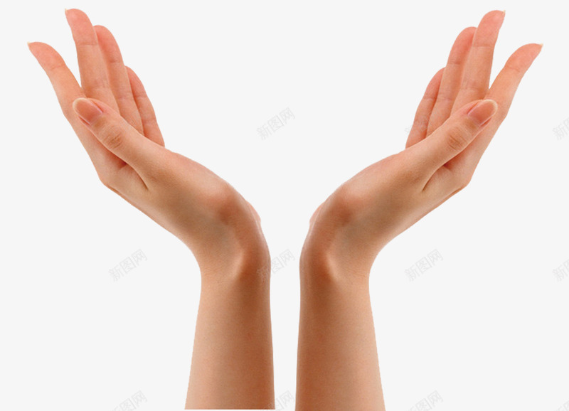 举起来的手png免抠素材_新图网 https://ixintu.com 举双手 修长的手 左右手 打开的手 捧东西状的手